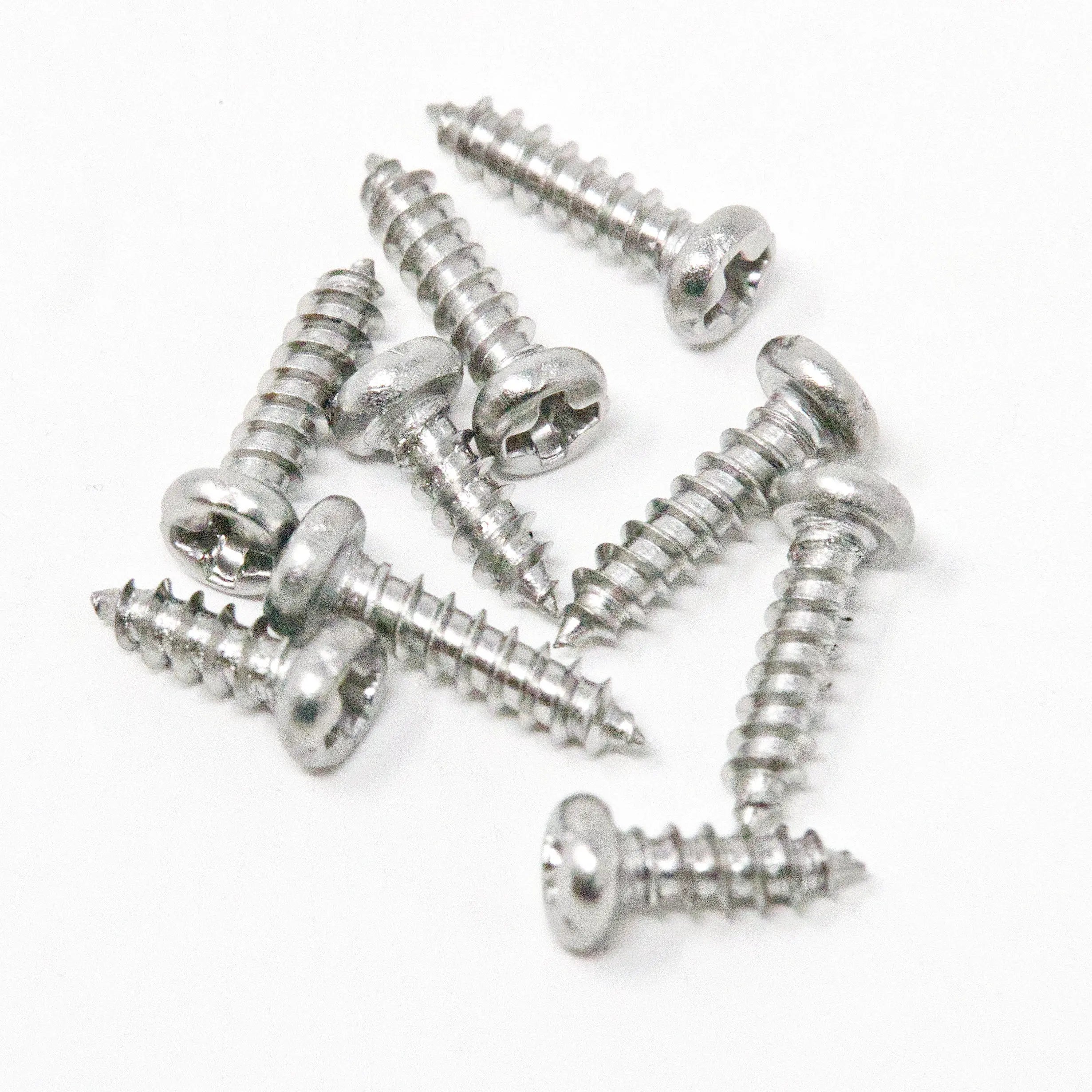 RetroSix Game Boy Color Stainless Steel Screws